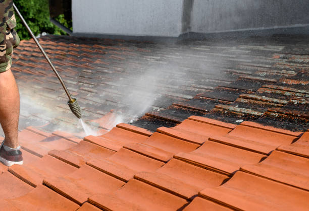 Best Residential Pressure Washing Services  in Beach, ND