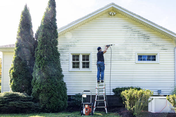 Best Roof Pressure Washing  in Beach, ND